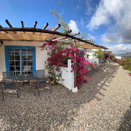 Santerra, Valle De Guadalupe Buitenkant foto