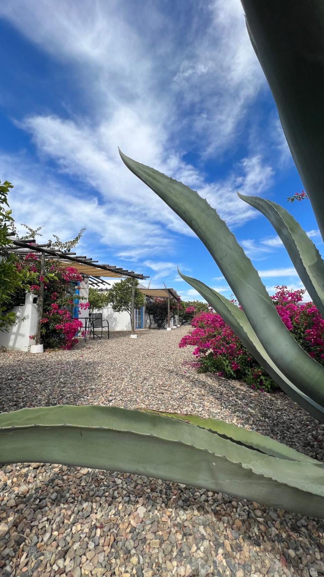 Santerra, Valle De Guadalupe Buitenkant foto