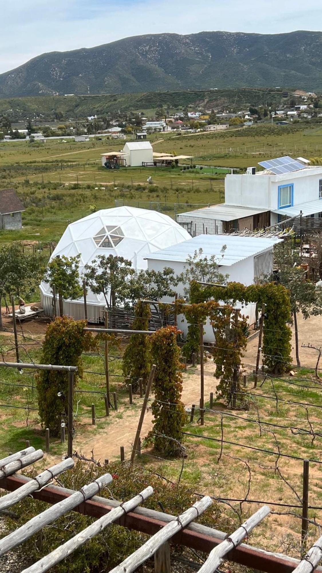 Santerra, Valle De Guadalupe Buitenkant foto